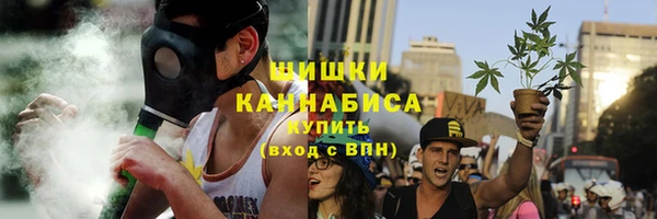 индика Михайлов