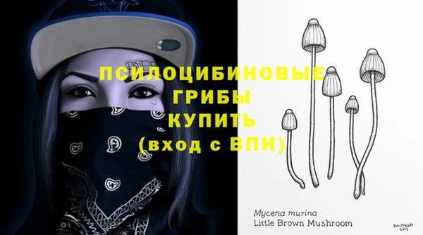дмт Алзамай