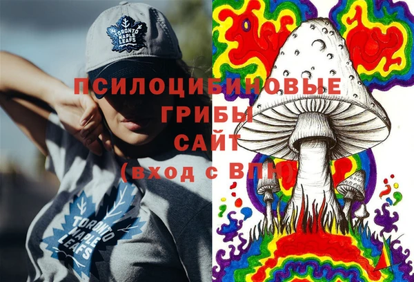 амфетамин Алексин