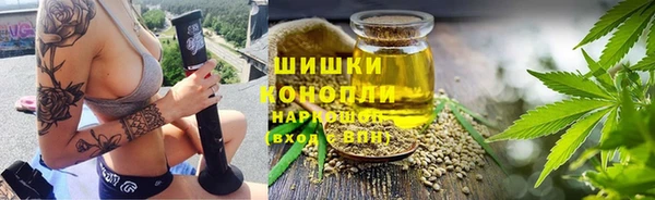 дмт Алзамай