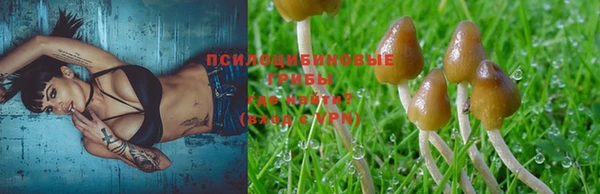 тгк Алексеевка